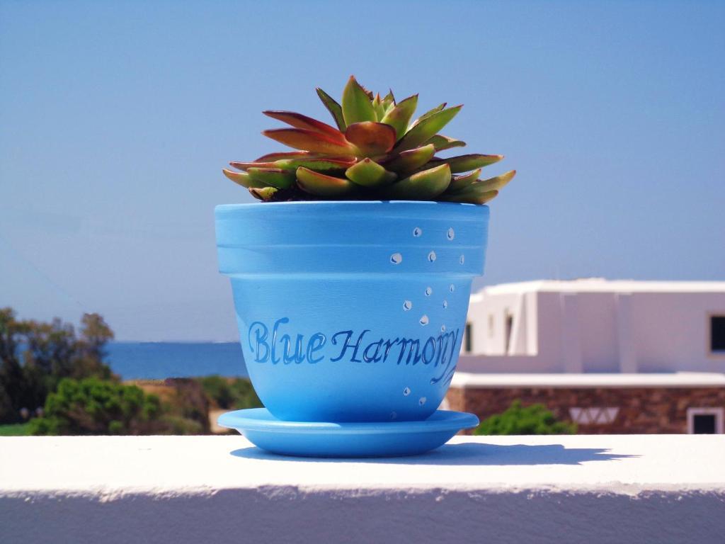 Apartment Blue Harmony