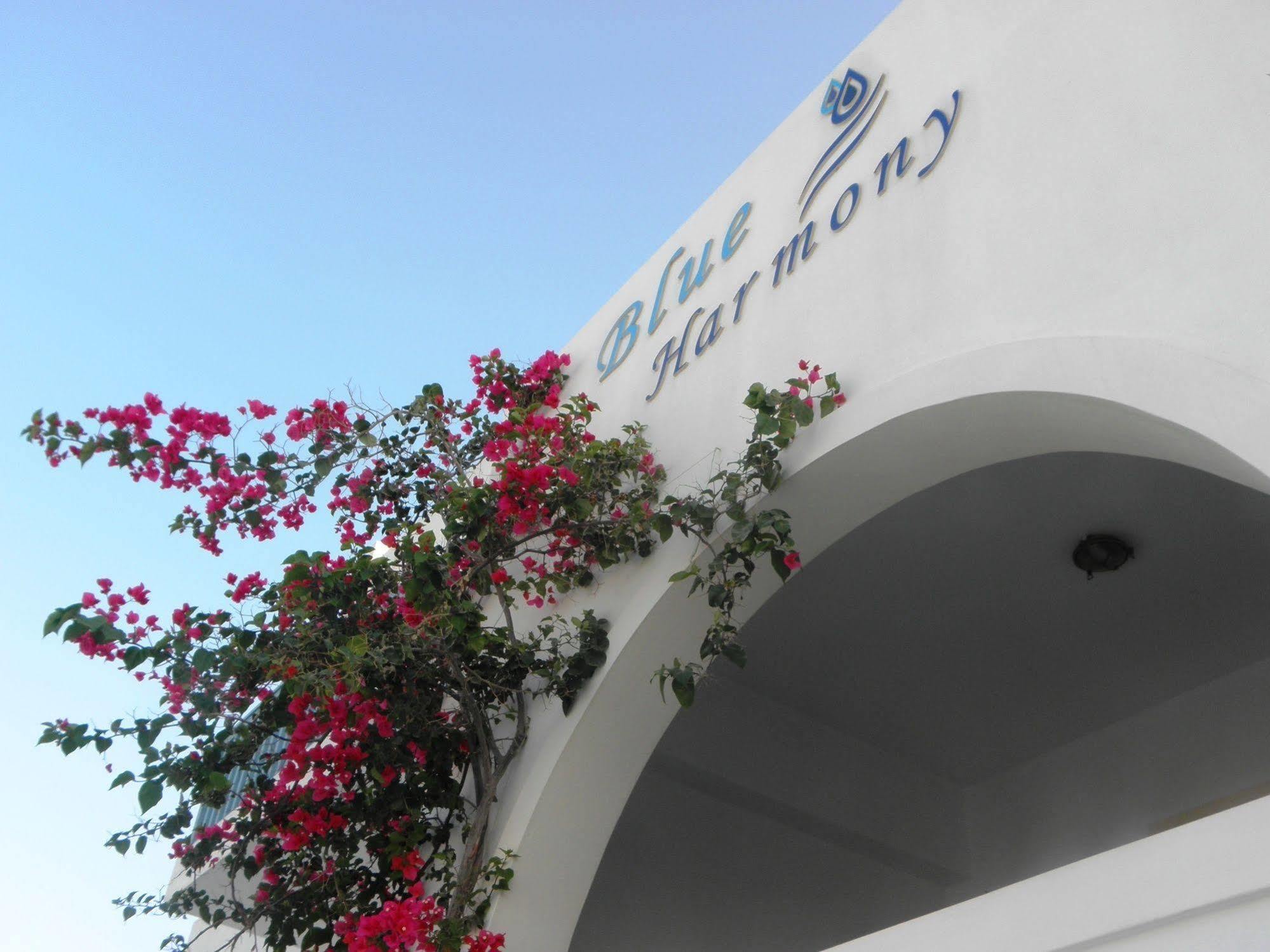 Blue Harmony Apartment Plaka (Naxos)
